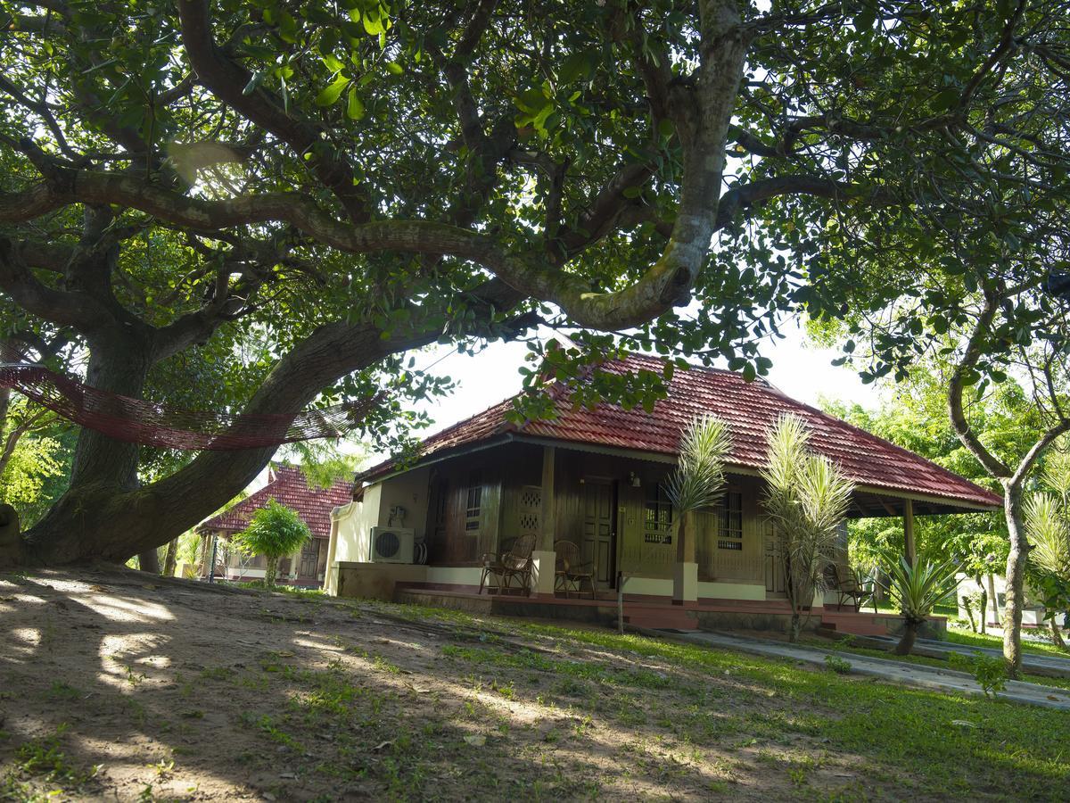 Isola Di Cocco Ayurvedic Beach Resort Poovar Exterior foto